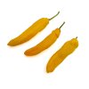 Yellow Shushka pepper