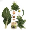 Vegetables kit / Gal Moran