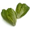 Lalique lettuce