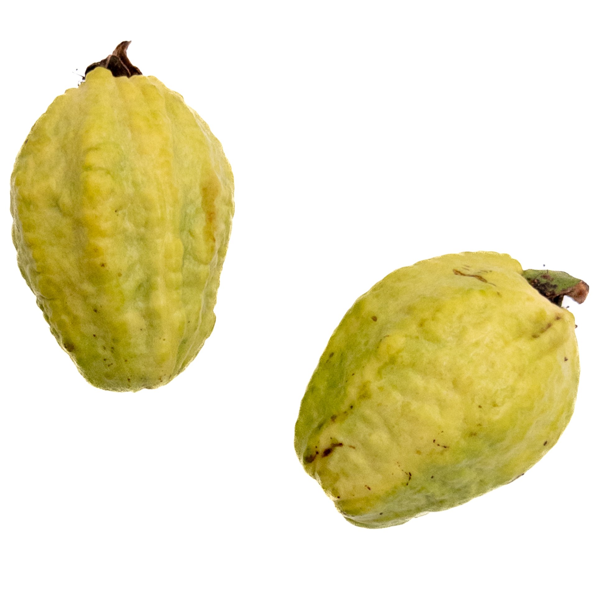 Guava