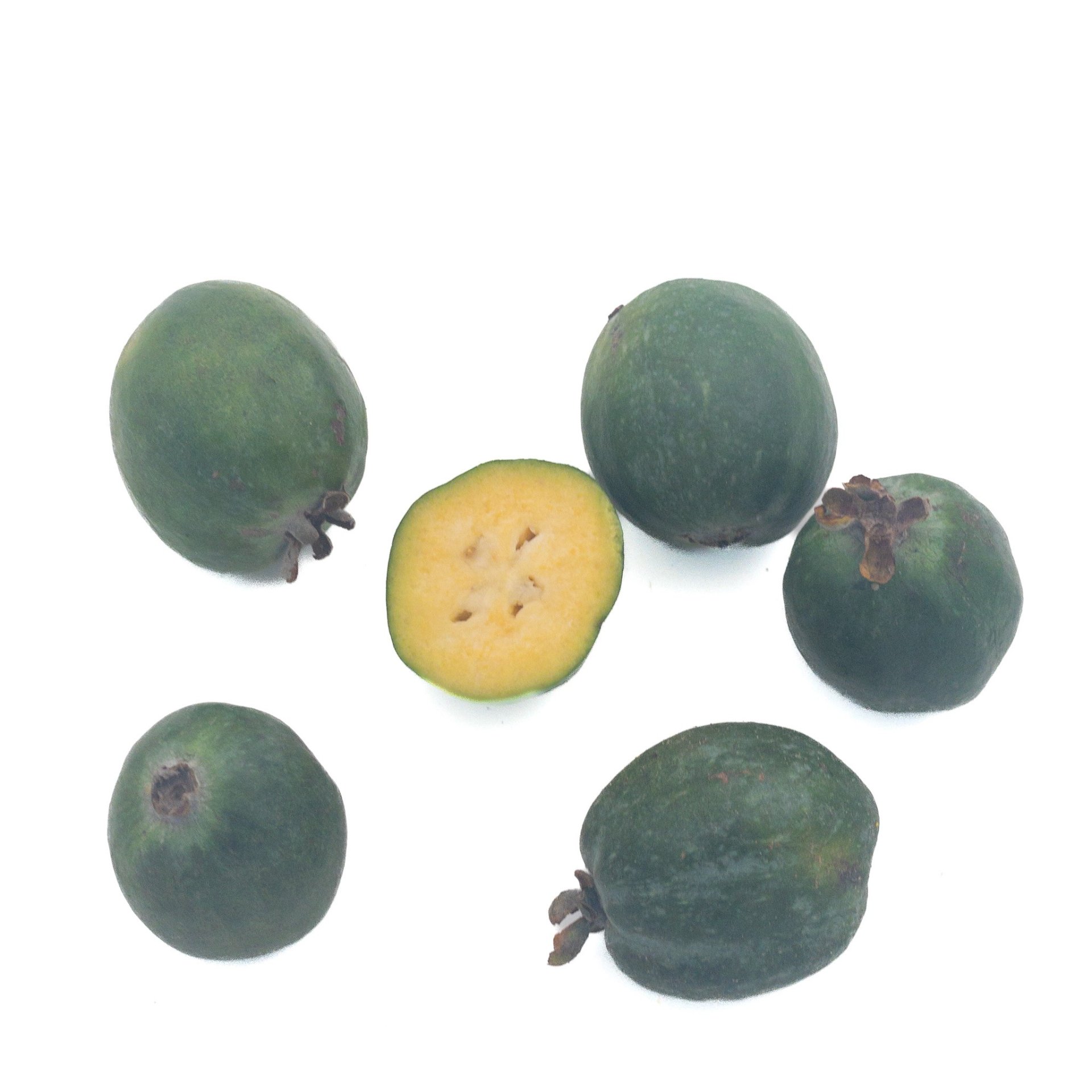 Feijoa