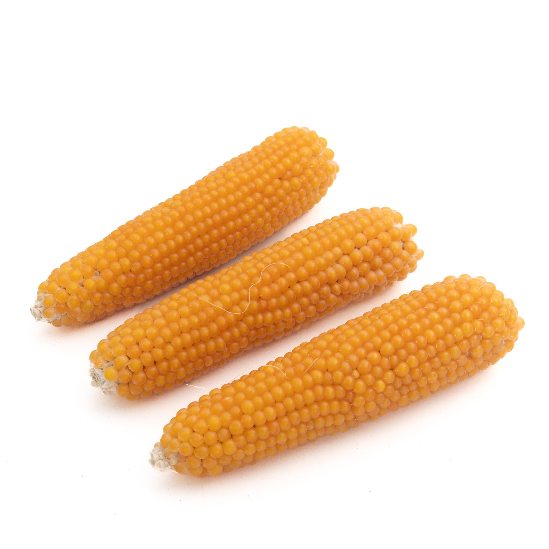 Corn