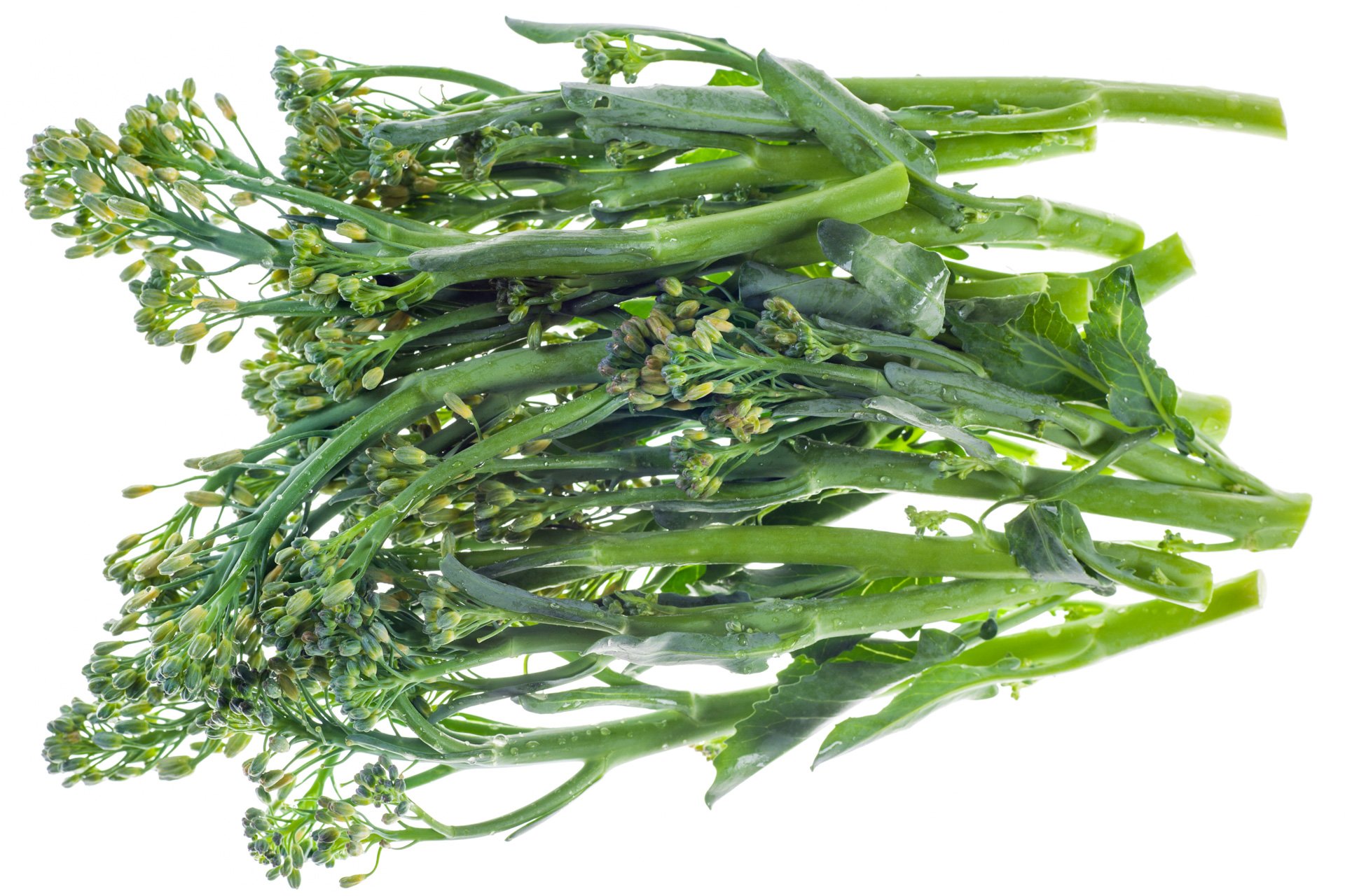 Broccolini