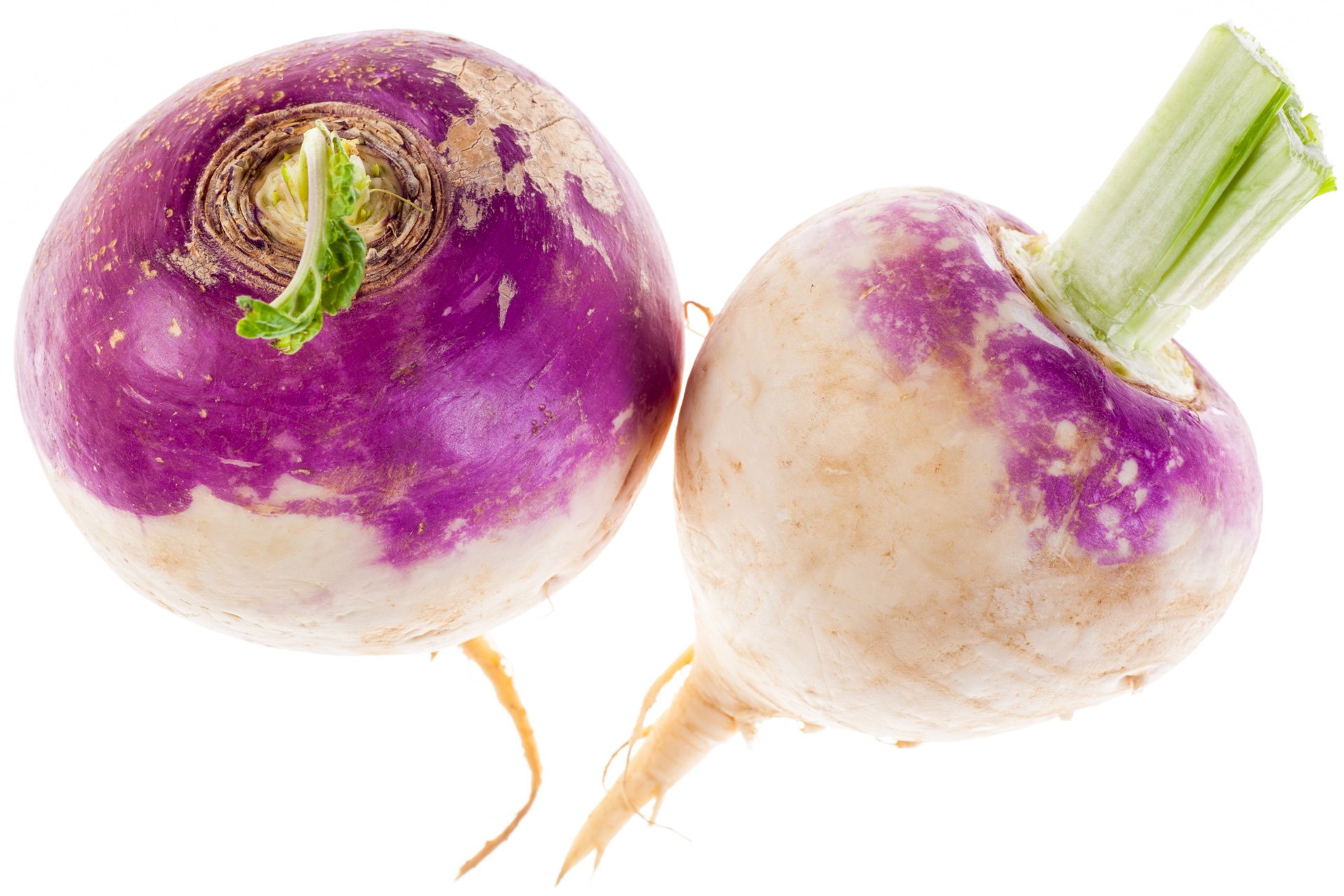 Turnip