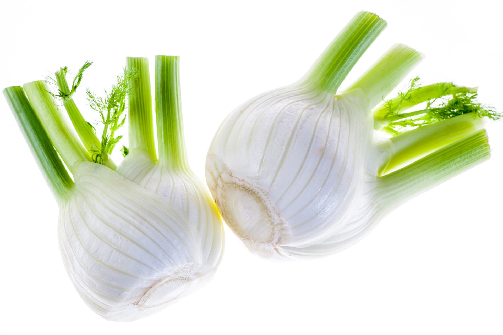 Fennel