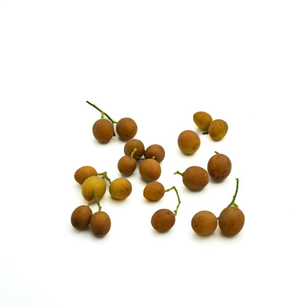 Panama berry