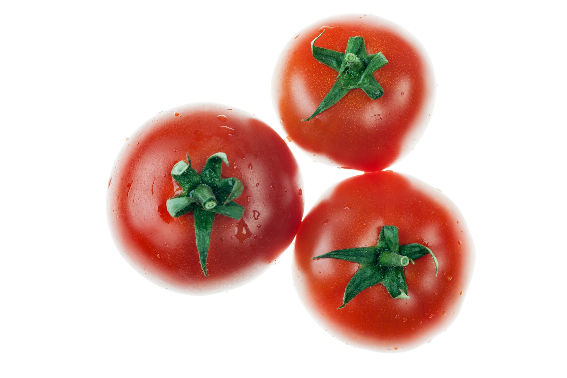 "Maggy" tomatoes