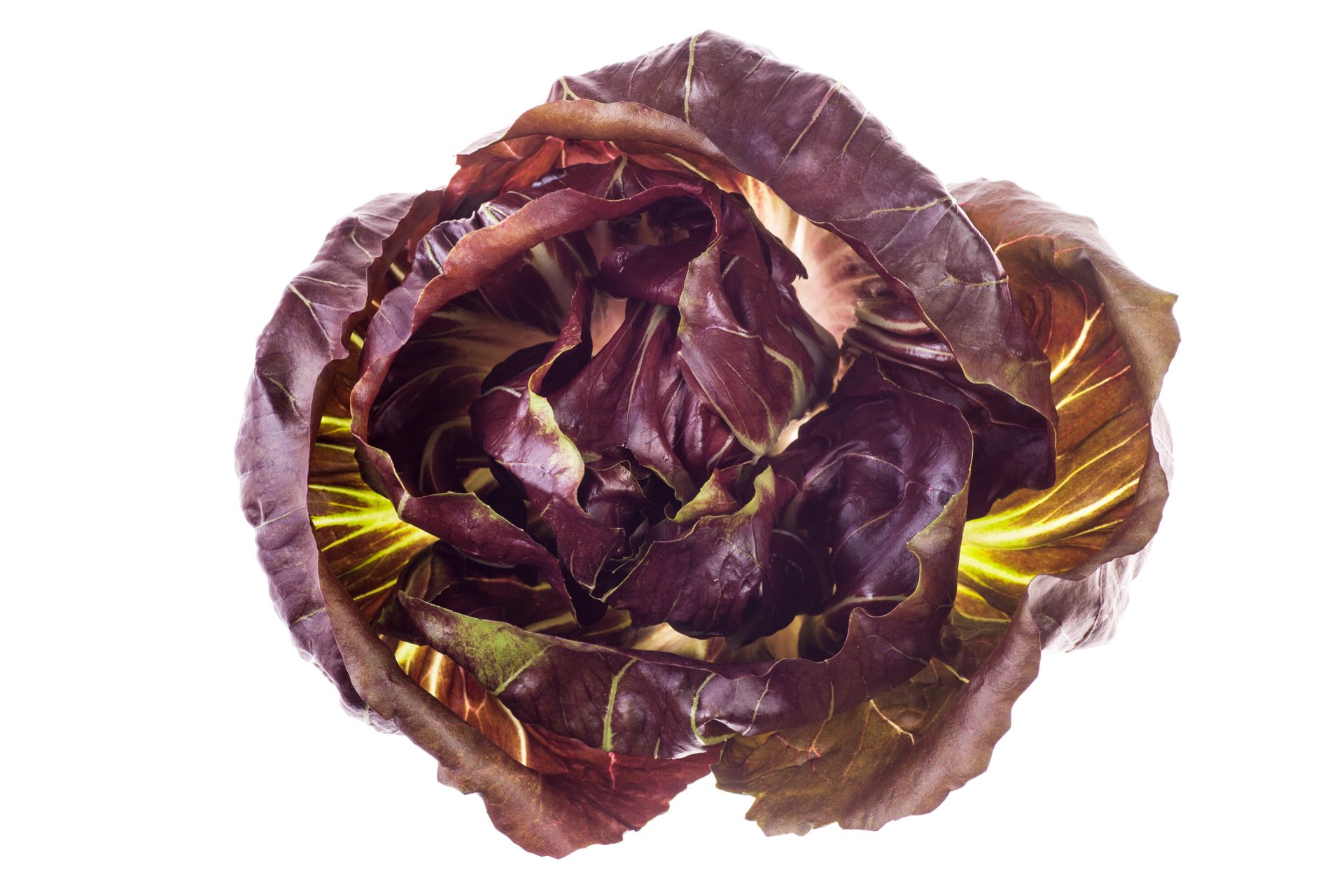 Radicchio