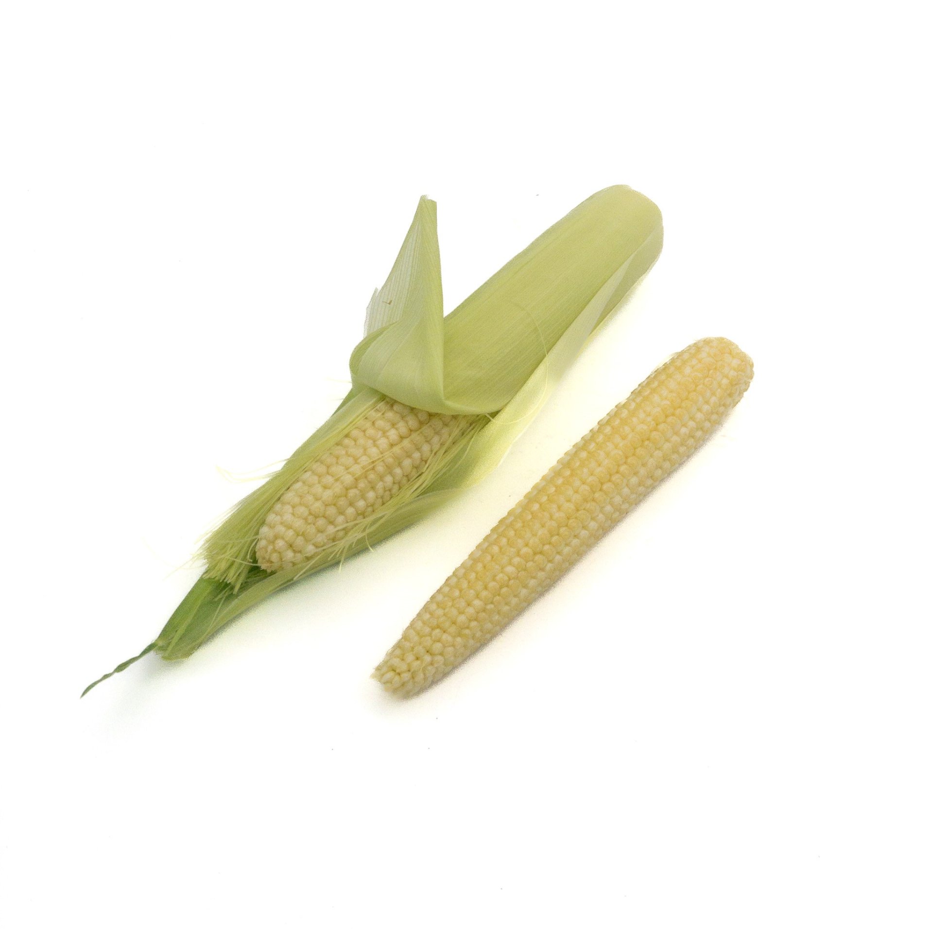 Corn