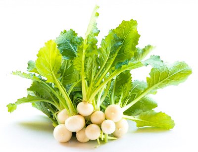 Micro turnip