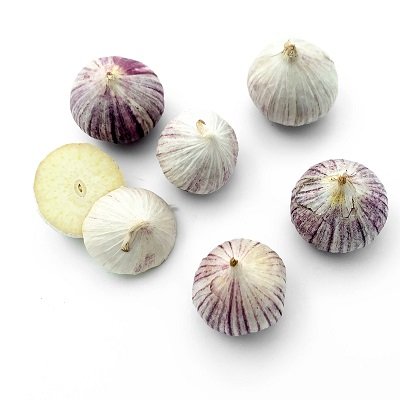 Solo garlic