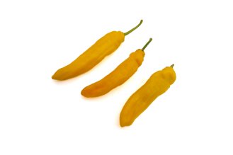 Yellow Shushka pepper