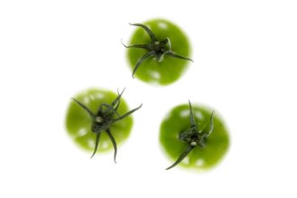 Green tomato