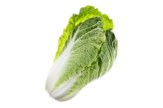 Chinese cabbage