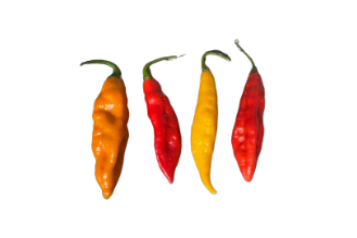 Spicy Naga Pepper  - Mix