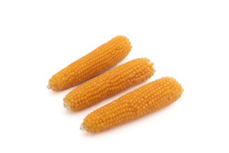 Corn