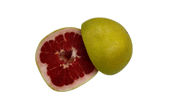 Red Pomelo