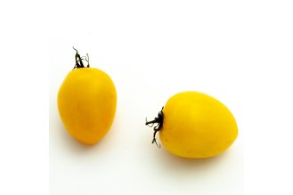 Yellow Roma tomato