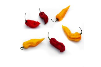 Ghost peppers - BHUT