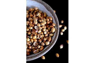 Coriander seeds