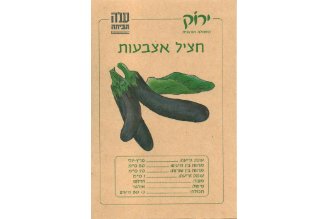 Finger Eggplant Seeds