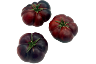 Oxheart tomato