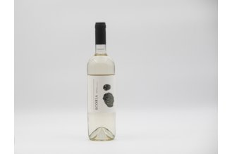 White wine Sauvignon Blanc 2022 - Scoria