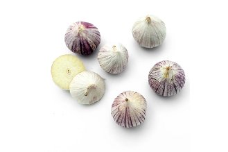 Solo garlic